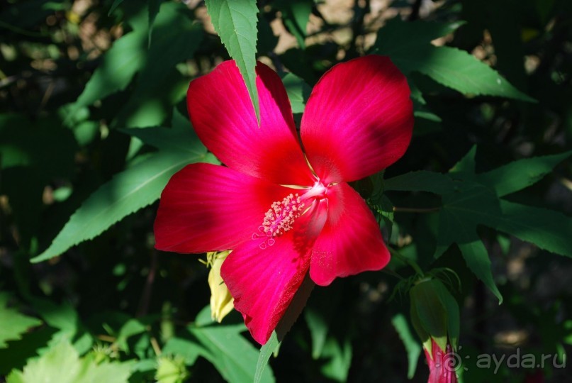 Очень хорошо!