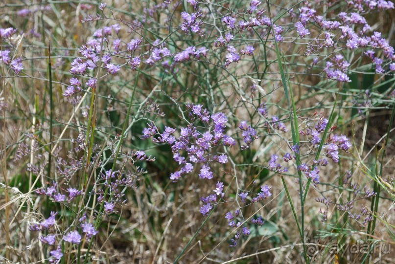 Очень хорошо!