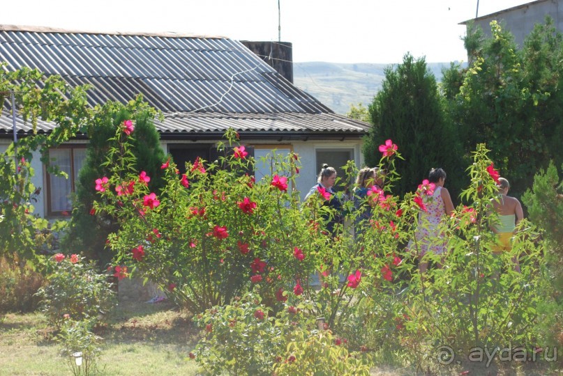 Очень хорошо!