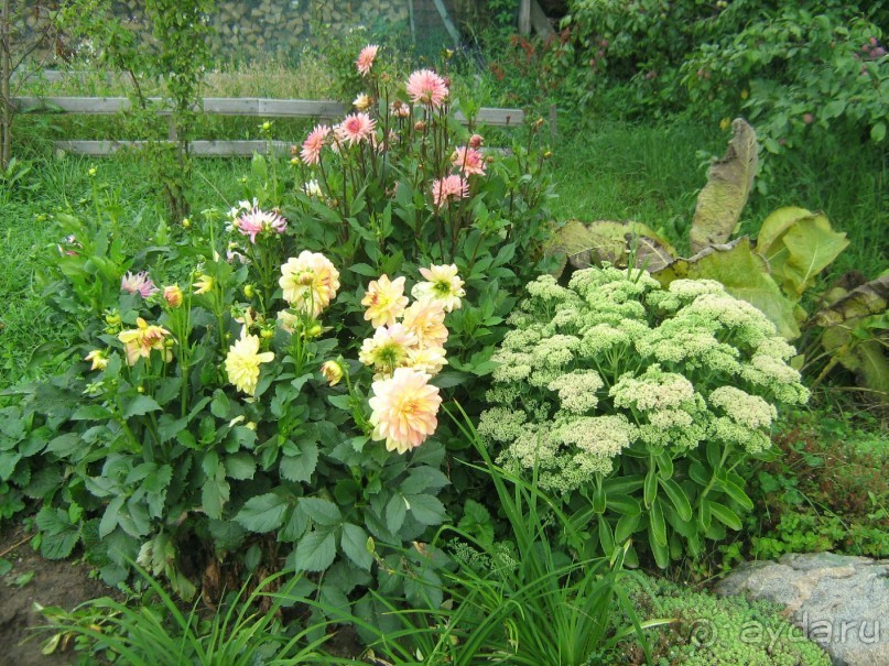 отдых в Ботово