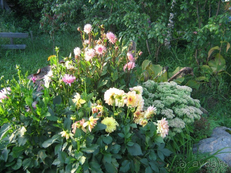 отдых в Ботово