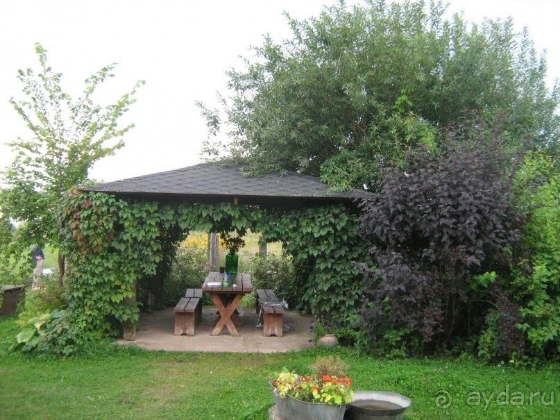 отдых в Ботово