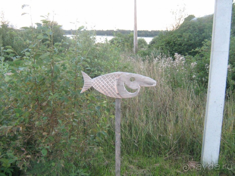 отличный отдых в Ботово