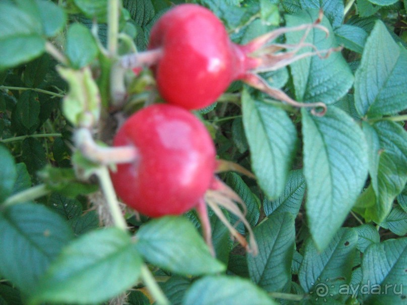 отличное место для тех кто хочет отдохнуть от городской суеты