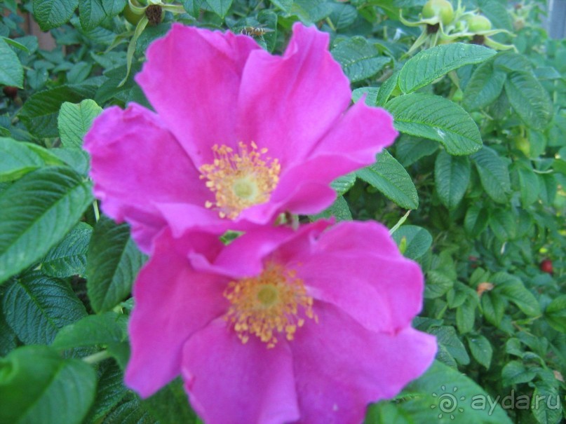 отличное место для тех кто хочет отдохнуть от городской суеты