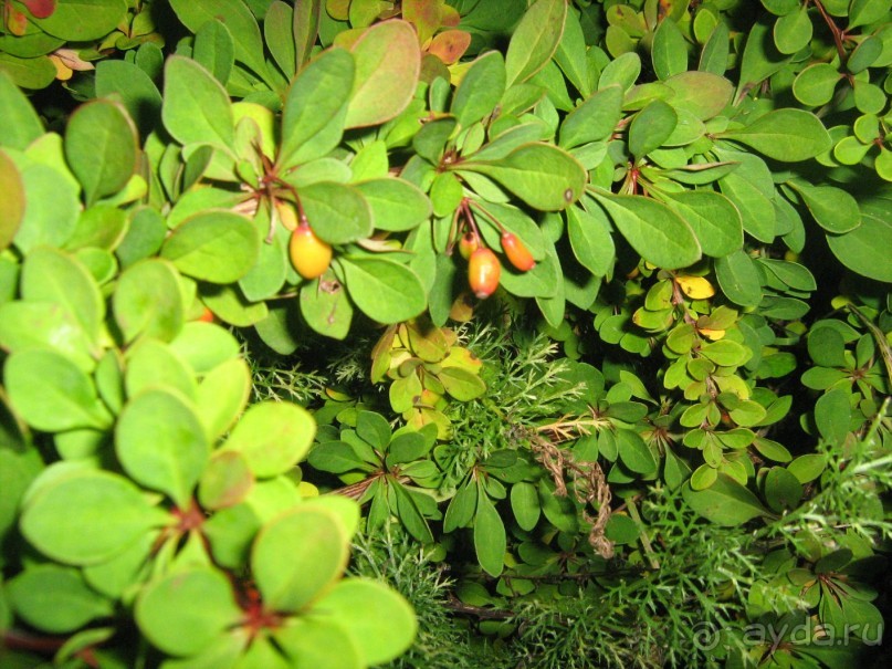 отличное место для тех кто хочет отдохнуть от городской суеты