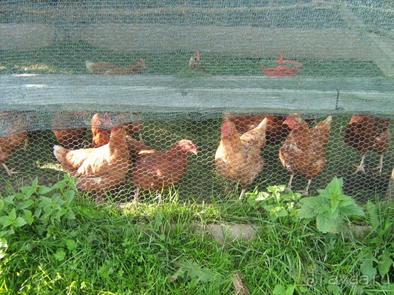 отличное место для тех кто хочет отдохнуть от городской суеты