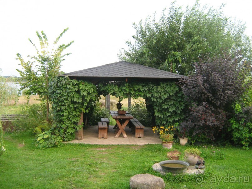 отличное место для тех кто хочет отдохнуть от городской суеты