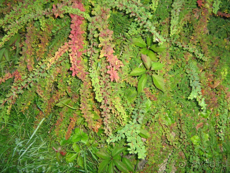 отличное место для тех кто хочет отдохнуть от городской суеты