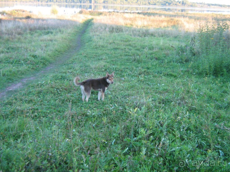 отличное место для тех кто хочет отдохнуть от городской суеты