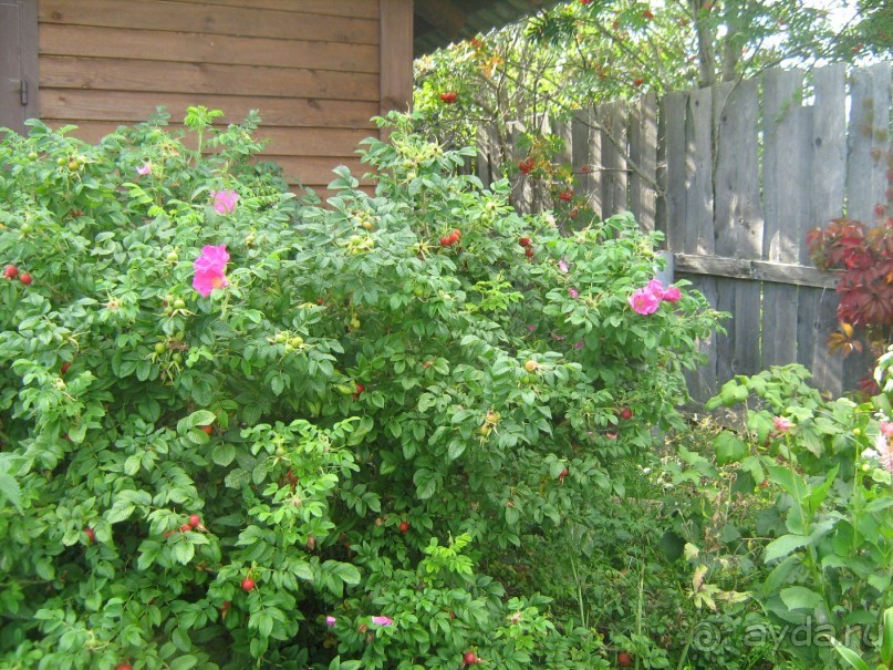 отличное место для тех кто хочет отдохнуть от городской суеты