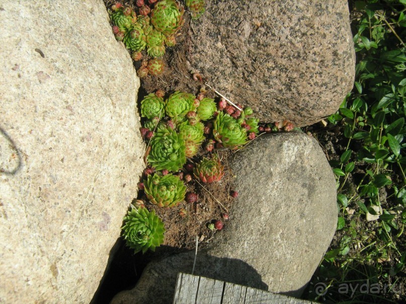отличное место для тех кто хочет отдохнуть от городской суеты