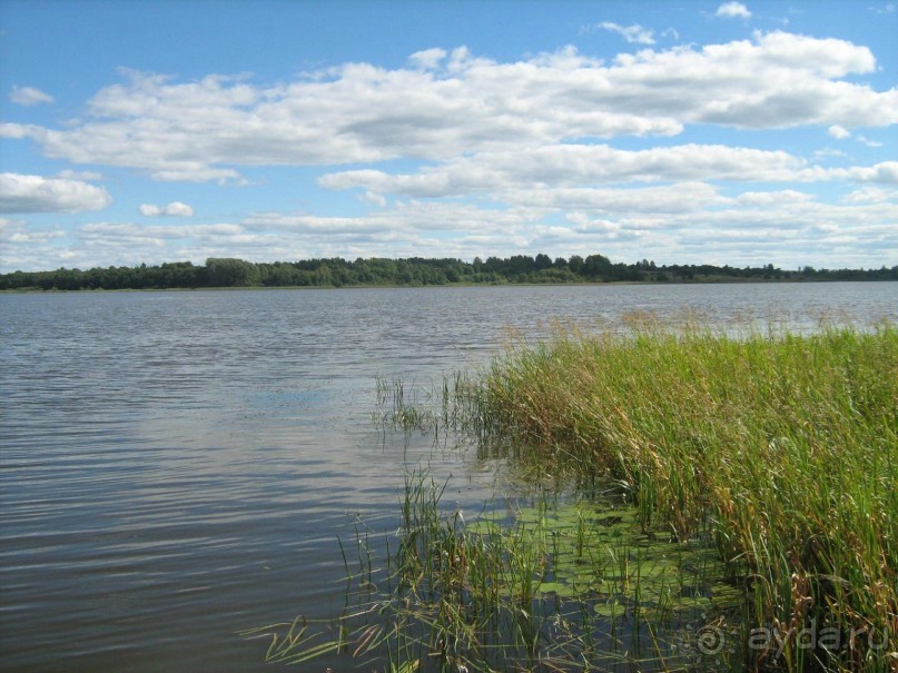 отличный отдых в Ботово