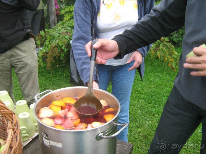 отличный отдых в Ботово