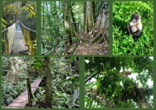 Отзыв о путешествии в К.Р.