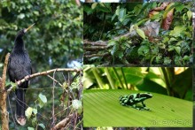 Отзыв о путешествии в К.Р.