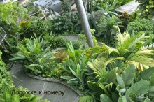 Альбом отзыва "Отзыв о путешествии в К.Р."