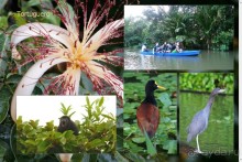 Отзыв о путешествии в К.Р.