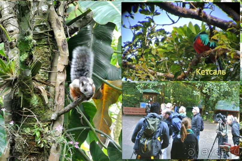 Отзыв о путешествии в К.Р.