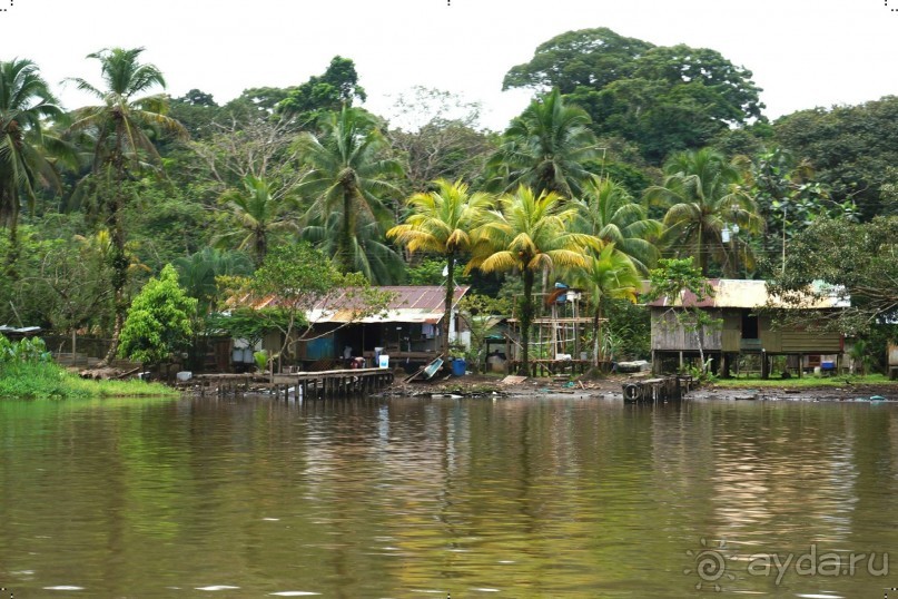 Альбом отзыва "Отзыв о путешествии в К.Р."