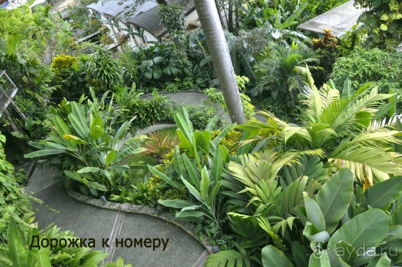 Отзыв о путешествии в К.Р.