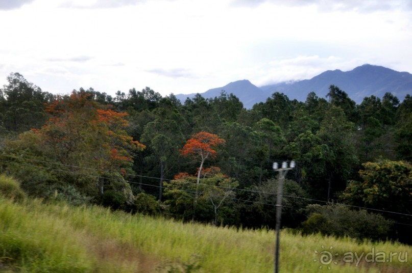 Альбом отзыва "Отзыв о путешествии в К.Р."