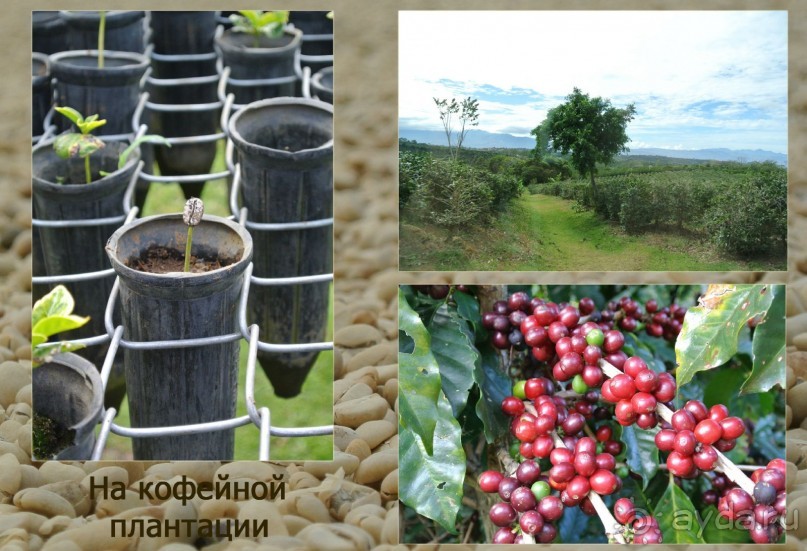 Отзыв о путешествии в К.Р.