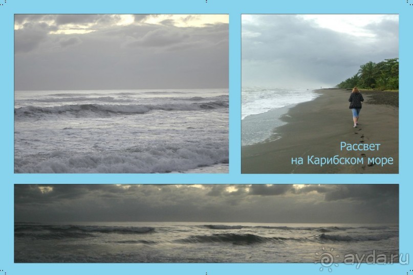 Альбом отзыва "Отзыв о путешествии в К.Р."