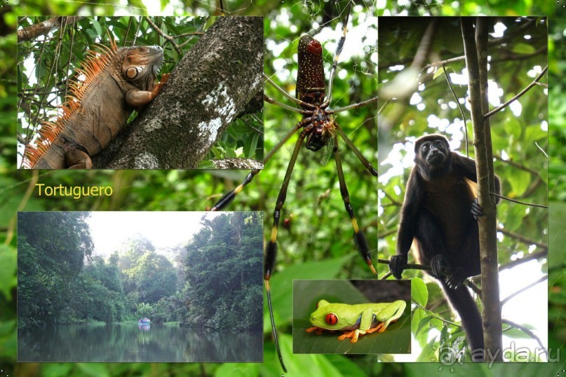 Альбом отзыва "Отзыв о путешествии в К.Р."