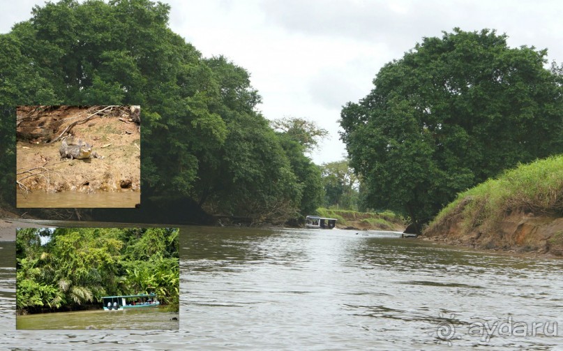 Альбом отзыва "Отзыв о путешествии в К.Р."