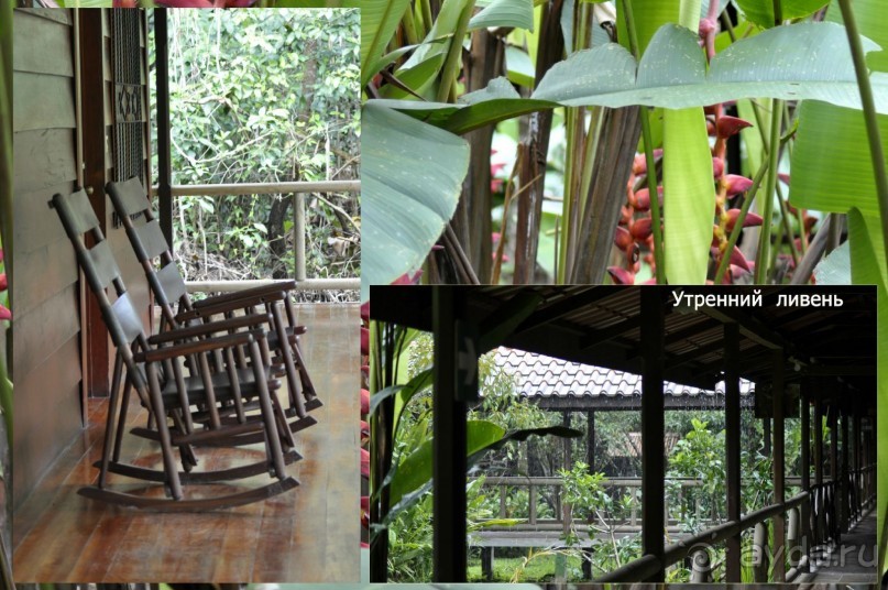 Альбом отзыва "Отзыв о путешествии в К.Р."