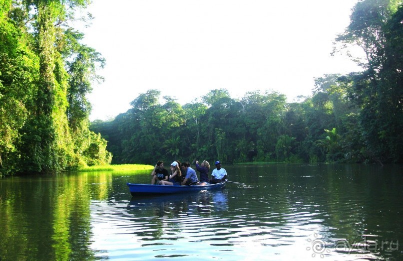 Альбом отзыва "Отзыв о путешествии в К.Р."