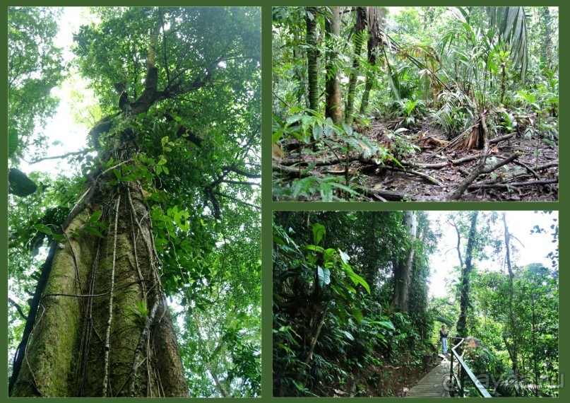 Альбом отзыва "Отзыв о путешествии в К.Р."