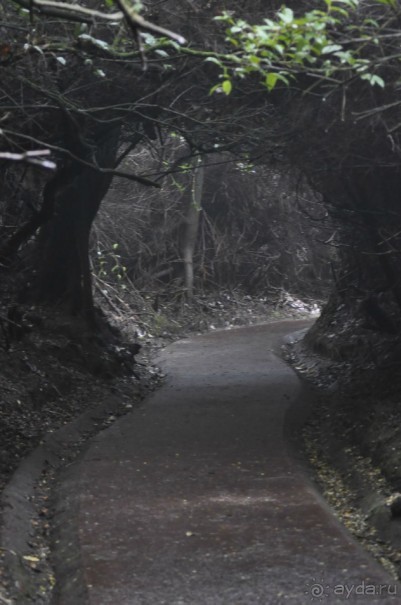 Отзыв о путешествии в К.Р.