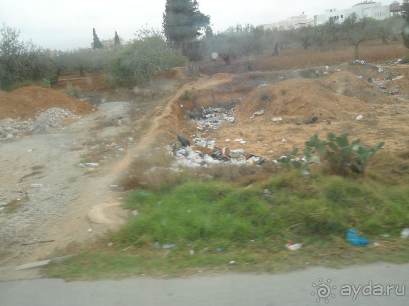 Помойка на пляже