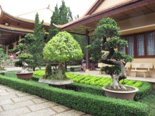 фото MuiNe Ocean Resort & Spa