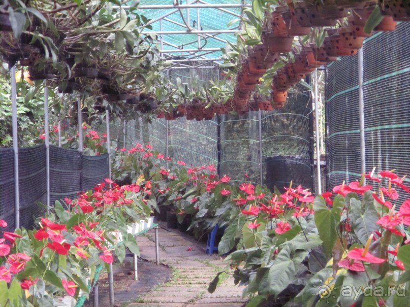 фото MuiNe Ocean Resort & Spa