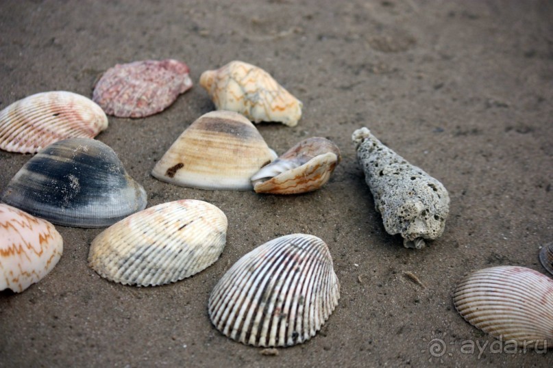 Хороший отдых зависит от нас самих