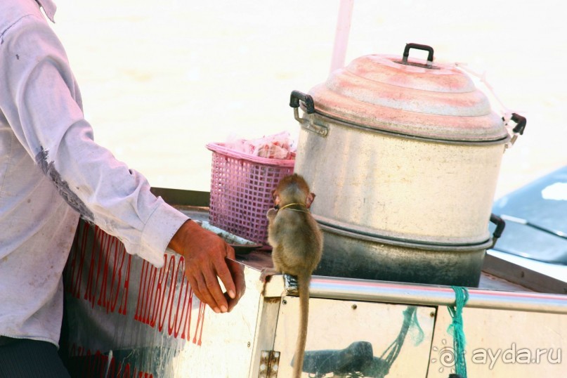 Хороший отдых зависит от нас самих