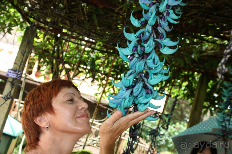 Хороший отдых зависит от нас самих