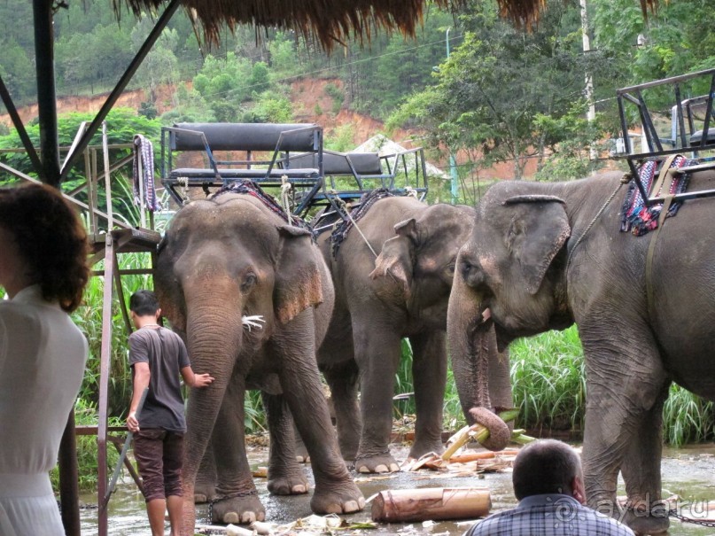 Хороший отдых зависит от нас самих