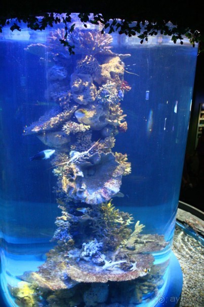 Хороший отдых зависит от нас самих