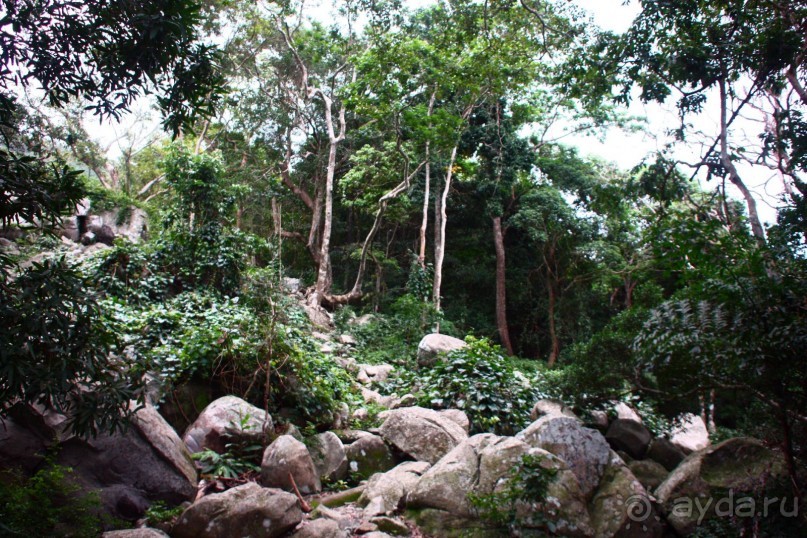 Хороший отдых зависит от нас самих