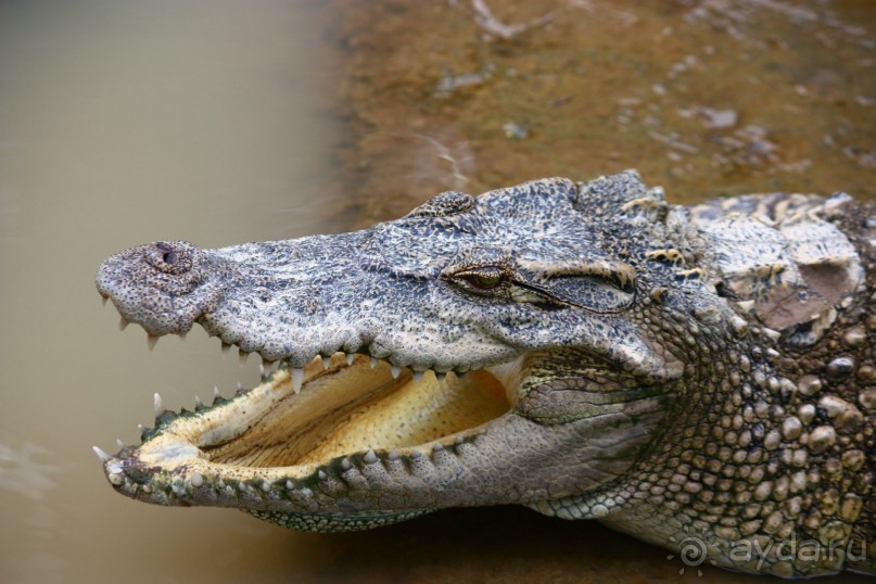 Хороший отдых зависит от нас самих