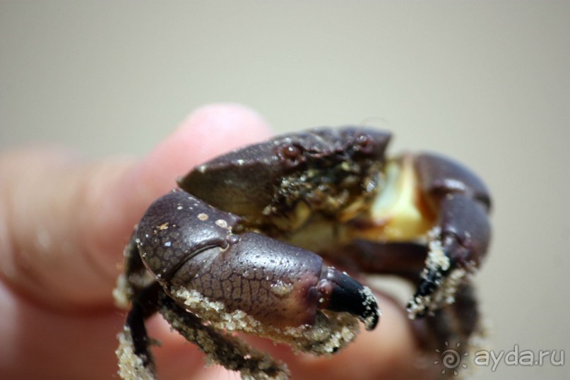 Хороший отдых зависит от нас самих