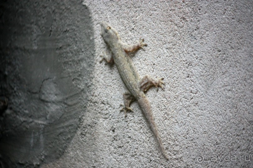 Хороший отдых зависит от нас самих