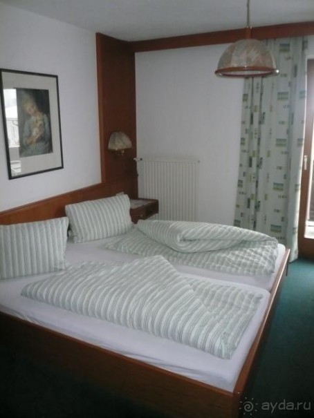 фото Березки