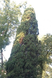 НАЗАД в ПРОШЛОЕ...