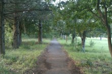 НАЗАД в ПРОШЛОЕ...