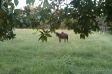 НАЗАД в ПРОШЛОЕ...